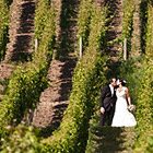 Hochzeitsfotografie: Brautpaar in Weinreben